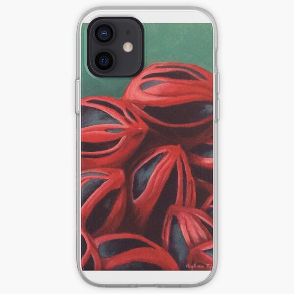 Nutmegs iPhone Soft Case