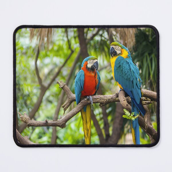 Item preview, Vibrant Macaw Duo – Tropical Parrot Pair on Branch designed and sold by EK-World.