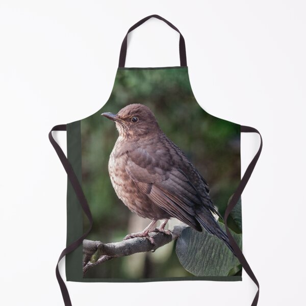 Item preview, Female Blackbird designed and sold by Tom McPherson Photography.