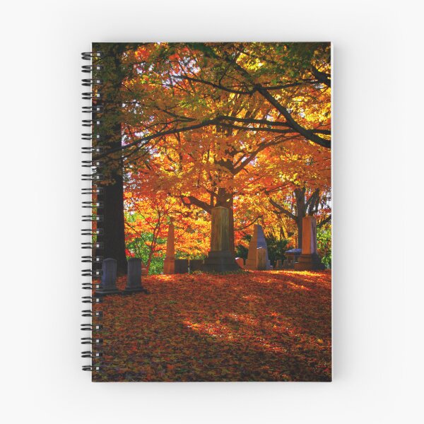 Item preview, Fall in Mount Auburn designed and sold by Kerri Ann McClellan.