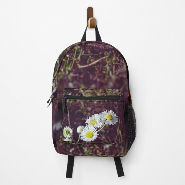 Item preview, Small field daisies in the evening meadow in summer designed and sold by Enerjetal.