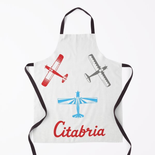 Item preview, citabria aerobatic aircraft high wing aeroplane tail dragger designed and sold by PilotandPlane.