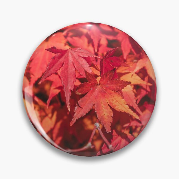 Item preview, Nijo castle garden designed and sold by Scorched Retina Photography .