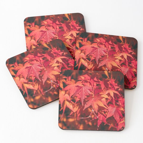 Item preview, Nijo castle garden designed and sold by Scorched Retina Photography .