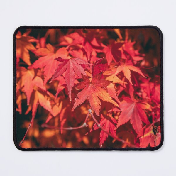 Item preview, Nijo castle garden designed and sold by Scorched Retina Photography .