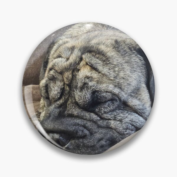 Item preview, Sleepy dog with epic wrinkles  designed and sold by GreetingsFromMN.