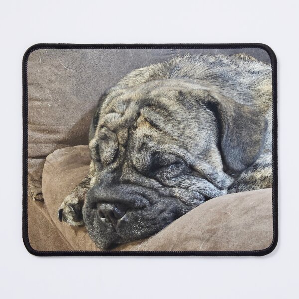 Item preview, Sleepy dog with epic wrinkles designed and sold by GreetingsFromMN.