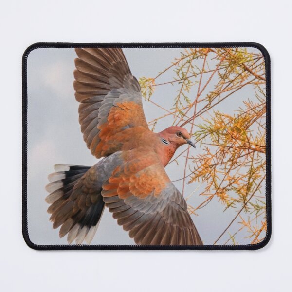 Item preview, The laughing dove designed and sold by missmoneypenny.