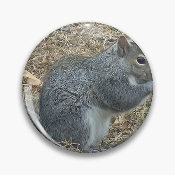 Item preview, Extra Chonky Squirrel  designed and sold by GreetingsFromMN.