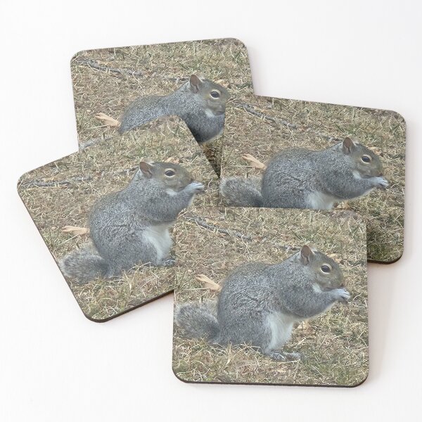 Item preview, Extra Chonky Squirrel  designed and sold by GreetingsFromMN.