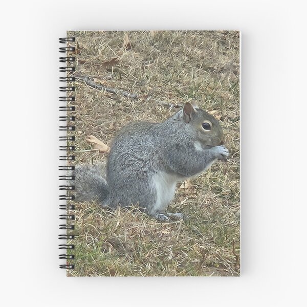 Item preview, Extra Chonky Squirrel  designed and sold by GreetingsFromMN.