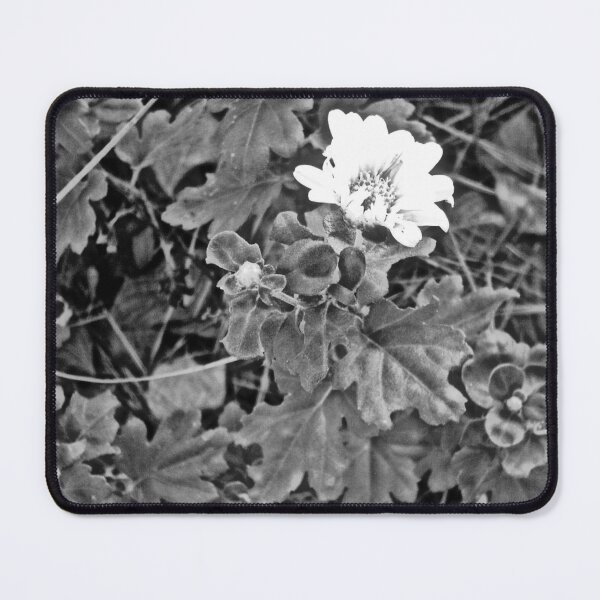 Item preview, Definitely designed and sold by Andy Rhodes Art.