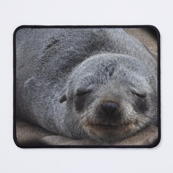 Item preview, Cape Fur Seals, Namibia designed and sold by Schoensl.