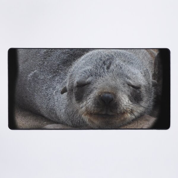 Item preview, Cape Fur Seals, Namibia designed and sold by Schoensl.