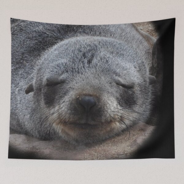 Item preview, Cape Fur Seals, Namibia designed and sold by Schoensl.