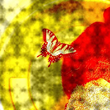Artwork thumbnail, Moving Picture by Andy Rhodes Art