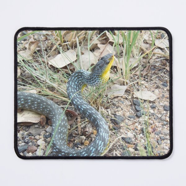 Item preview, Green Tree Snake designed and sold by Every Day Glimmers .