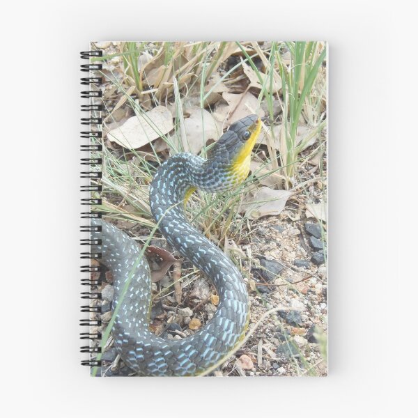 Item preview, Green Tree Snake designed and sold by Every Day Glimmers .