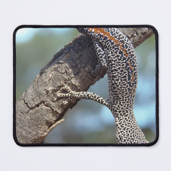 Item preview, Golden Tailed Gecko designed and sold by Every Day Glimmers .