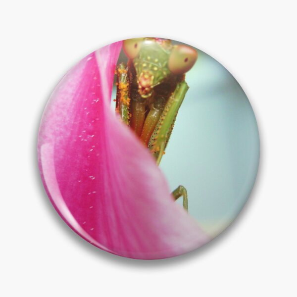 Item preview, Mantis designed and sold by Every Day Glimmers .