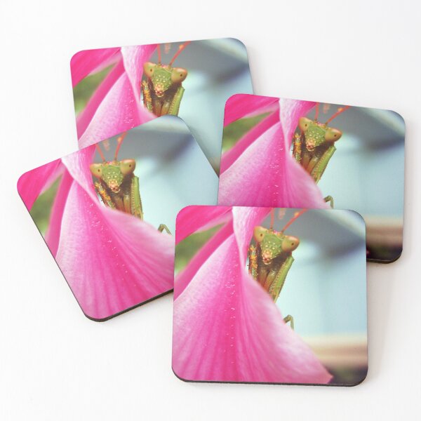 Item preview, Mantis designed and sold by Every Day Glimmers .