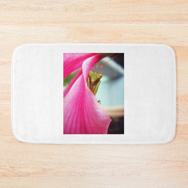 Item preview, Mantis designed and sold by Every Day Glimmers .