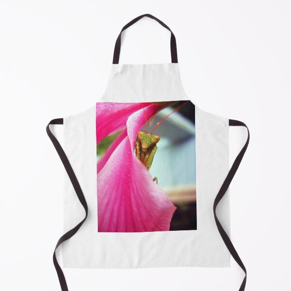 Item preview, Mantis designed and sold by Every Day Glimmers .