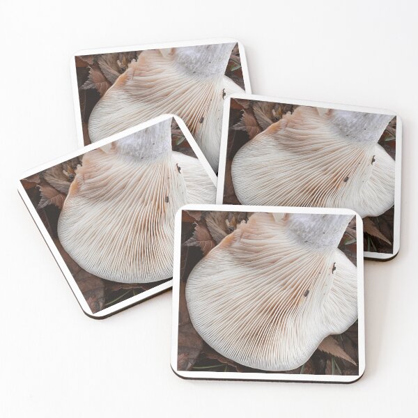 Item preview, Mushroom Gills designed and sold by PementPhotoArt.