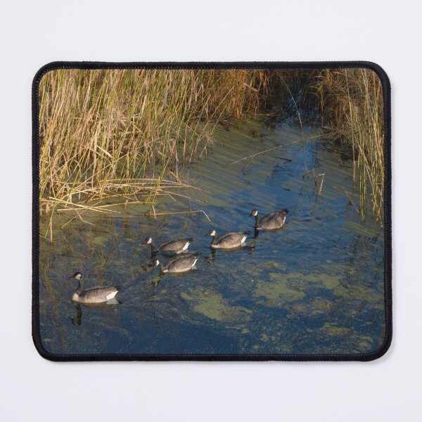 Item preview, Follow the Leader designed and sold by naturetimes.