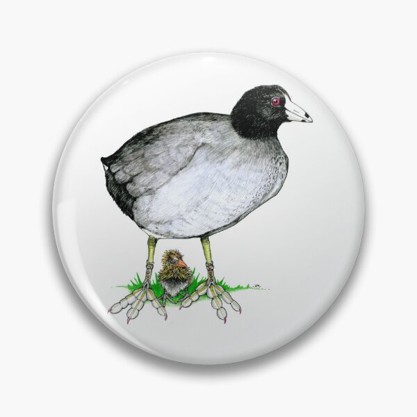 Item preview, Coot with Anklet and Toe Loop designed and sold by JimsBirds.