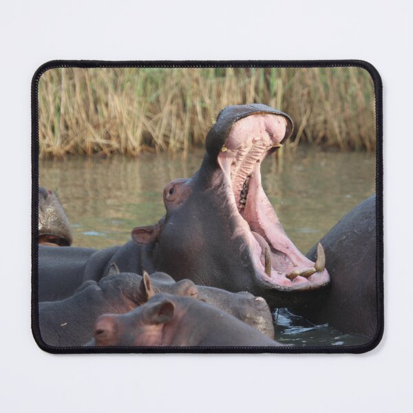 Item preview, Hippo designed and sold by Every Day Glimmers .