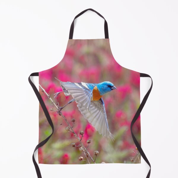 Item preview, Lazuli Bunting - Songbird of Oregon designed and sold by WigOutlet.