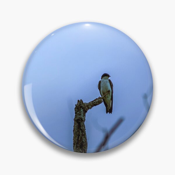 Item preview, Solitary Hawk on Bare Branch Against Blue Sky designed and sold by aadventures.