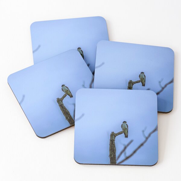 Item preview, Solitary Hawk on Bare Branch Against Blue Sky designed and sold by aadventures.
