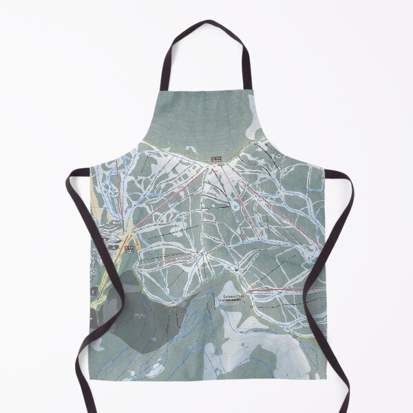 Item preview, Schweitzer Mountain Resort Trail Map designed and sold by Mapsynergy.
