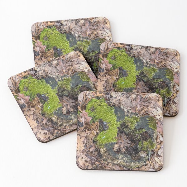 Item preview, Moss-Covered Tree Stump on Forest Floor designed and sold by aadventures.