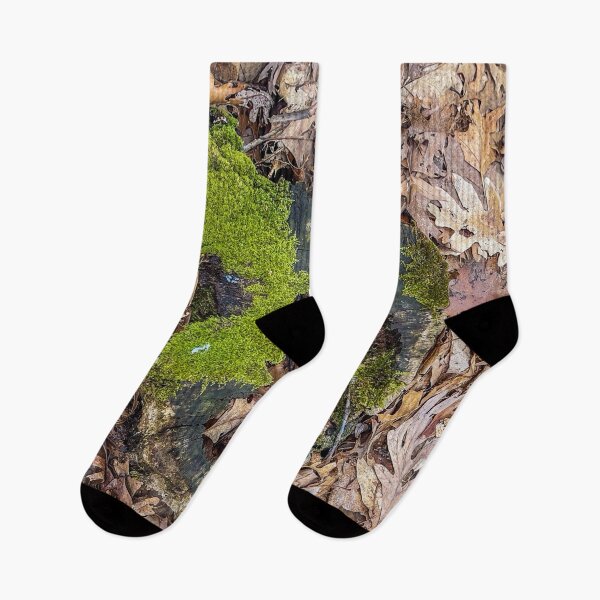 Item preview, Moss-Covered Tree Stump on Forest Floor designed and sold by aadventures.
