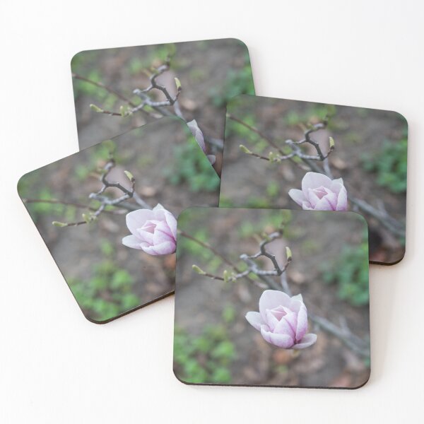 Item preview, Delicate Magnolia Blossom designed and sold by Georgia Mizuleva.