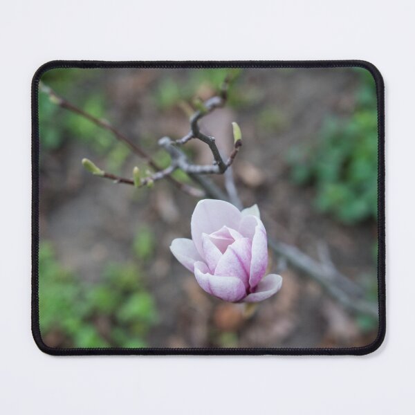 Item preview, Delicate Magnolia Blossom designed and sold by Georgia Mizuleva.