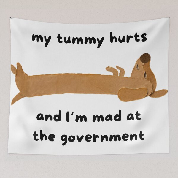 Item preview, My tommy hurts and I'm mad at the government designed and sold by L0tteKar0tte.