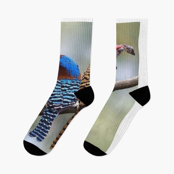 Item preview, Kingfisher Wetland Beauty designed and sold by apiolands.