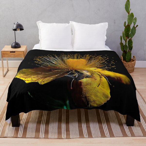 Item preview, St. John's wort (Hypericum) designed and sold by andreisky.