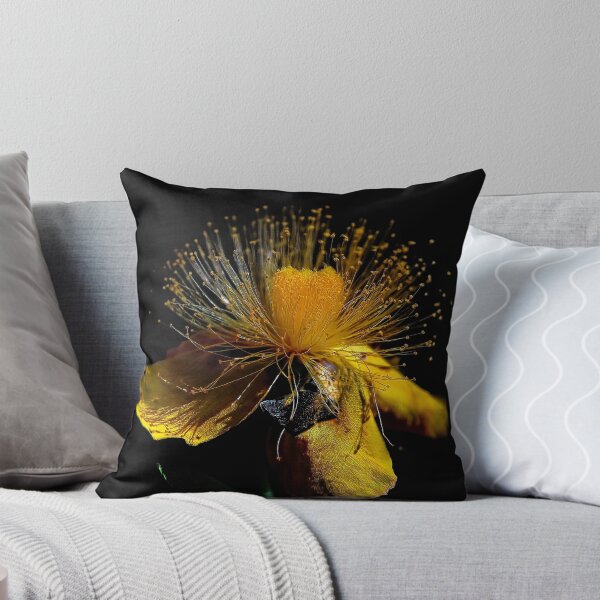 Item preview, St. John's wort (Hypericum) designed and sold by andreisky.