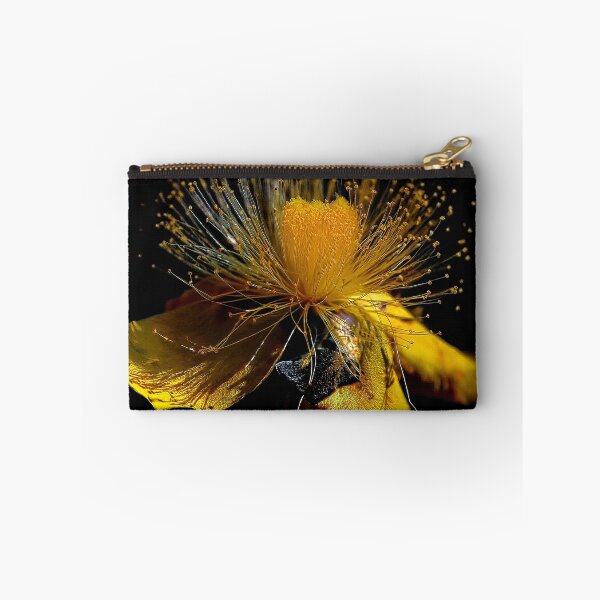 Item preview, St. John's wort (Hypericum) designed and sold by andreisky.