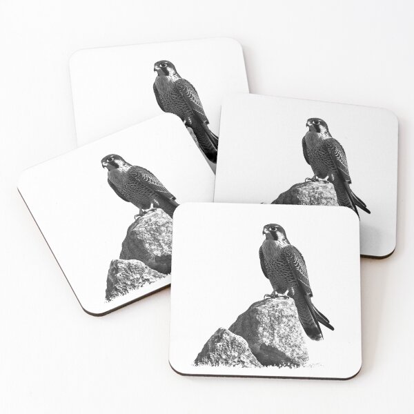 Item preview, Falcon on Rock – Black and White Bird of Prey Wildlife Art designed and sold by inkoutninja.