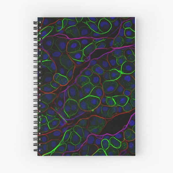 Item preview, Neon Cell Pattern on Black designed and sold by Kaleidoscope Print.