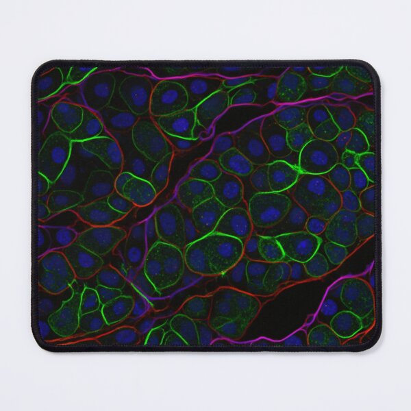 Item preview, Neon Cell Pattern on Black designed and sold by Kaleidoscope Print.