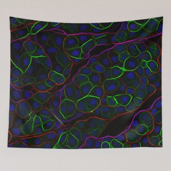 Item preview, Neon Cell Pattern on Black designed and sold by Kaleidoscope Print.