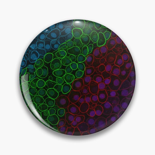 Item preview, Fluorescent Cell Mosaic Spectrum designed and sold by Kaleidoscope Print.