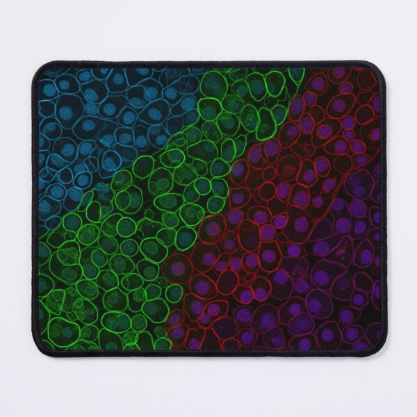 Item preview, Fluorescent Cell Mosaic Spectrum designed and sold by Kaleidoscope Print.